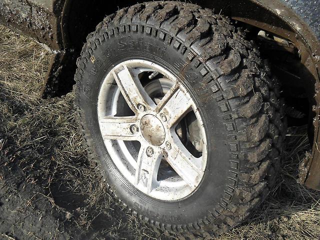 Altayshina Forward Safari 540 (3)